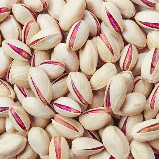 فروش عمده پسته احمدآقایی تازه